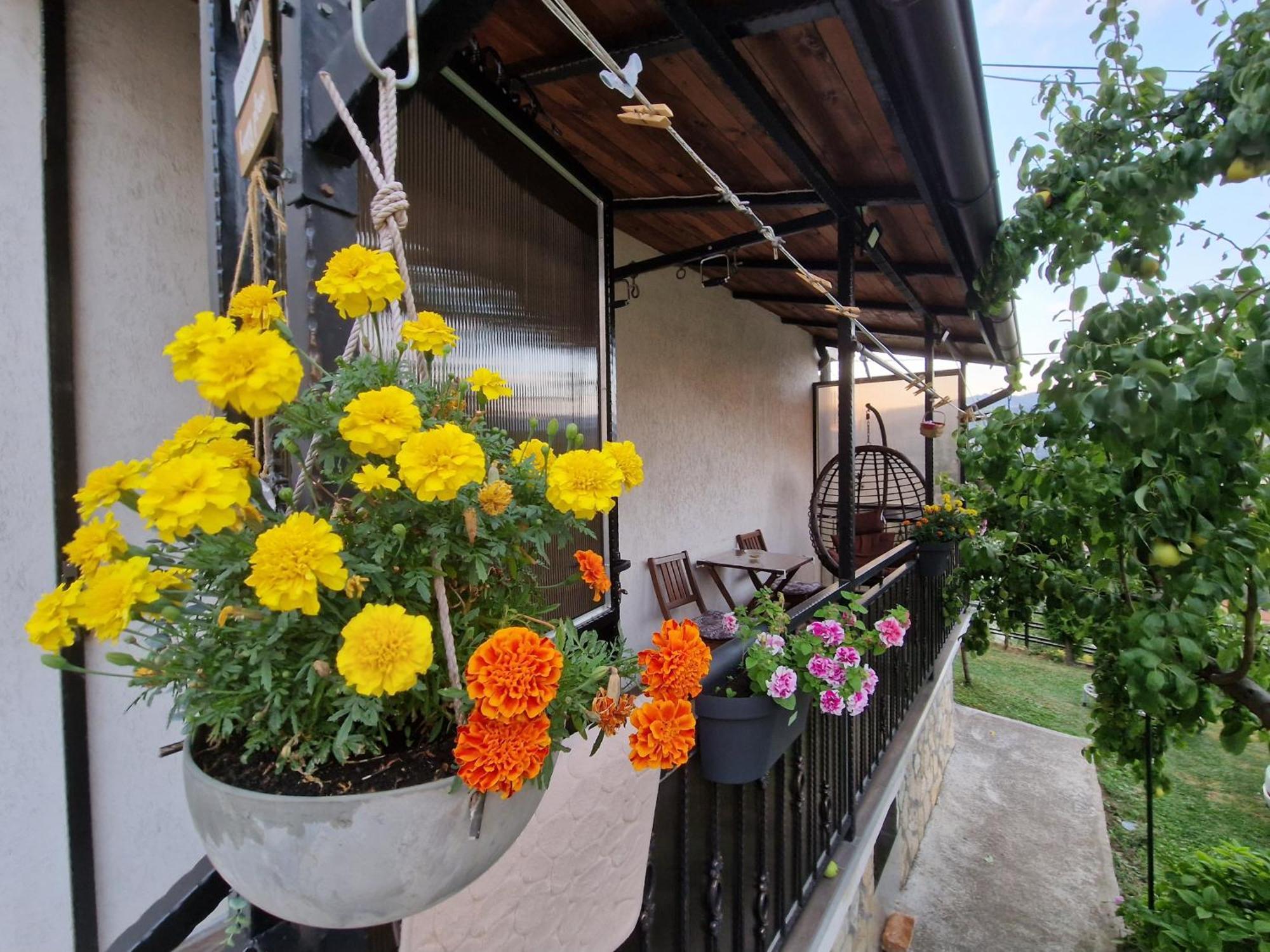 Garden Of Dreams & Free Private Parking Apartment Sarajevo Exterior photo